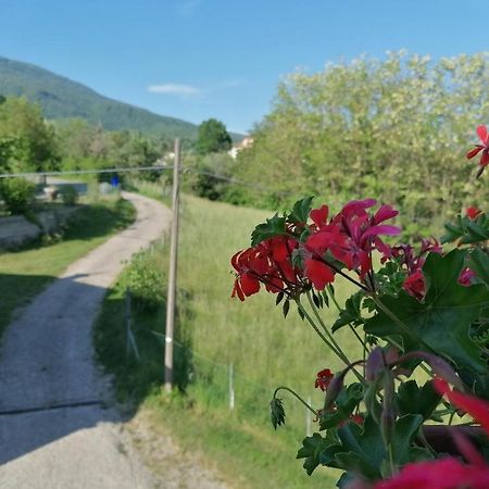 La Soffitta Di Anita Villa Bedonia Eksteriør billede