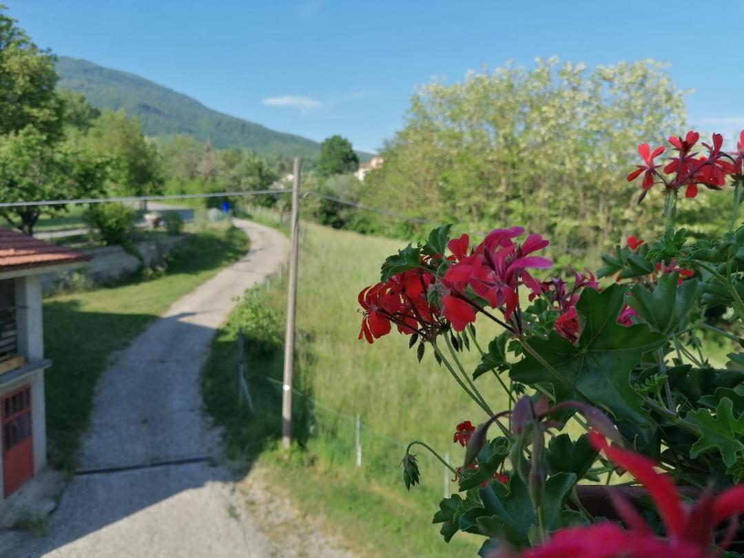 La Soffitta Di Anita Villa Bedonia Eksteriør billede